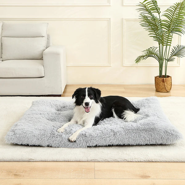 🐾 FluffyDream™ Pet Bed
