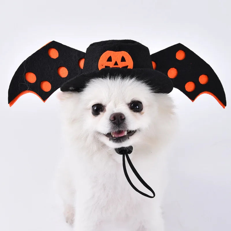 Halloween Dog & Cat Costume – Funny Small Dog Jacket & Creative Pet Outfit