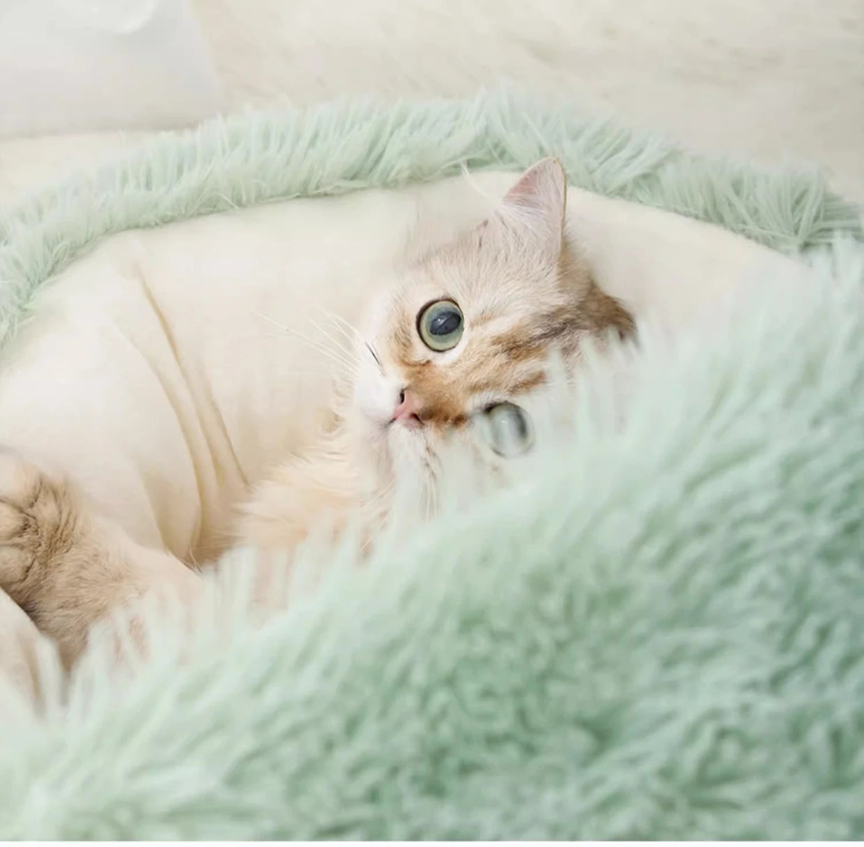 Autumn And Winter Soft Plush Pet Bed And Pet Bed Winter Warm And Cold Plush Comforter Nest Shell Cat Nest Semi-enclosed Cat Nest