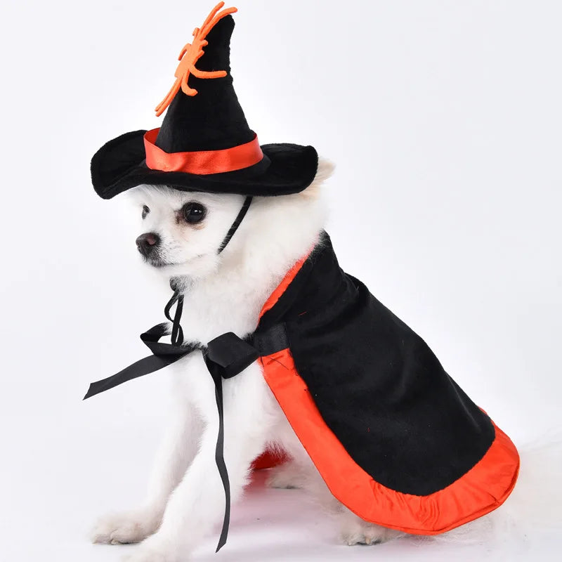 Halloween Dog & Cat Costume – Funny Small Dog Jacket & Creative Pet Outfit