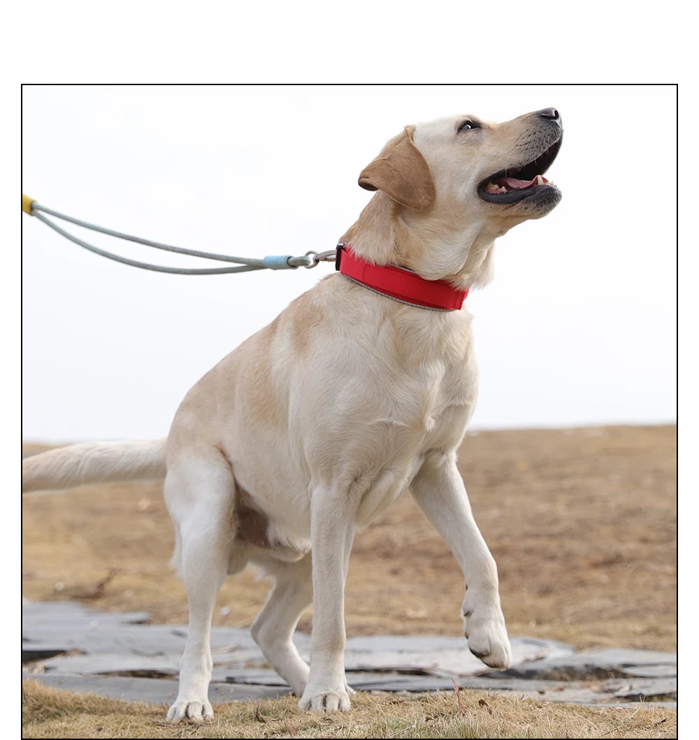 Tactical dog collar, adjustable military training nylon dog collar with control handle and high quality buckle