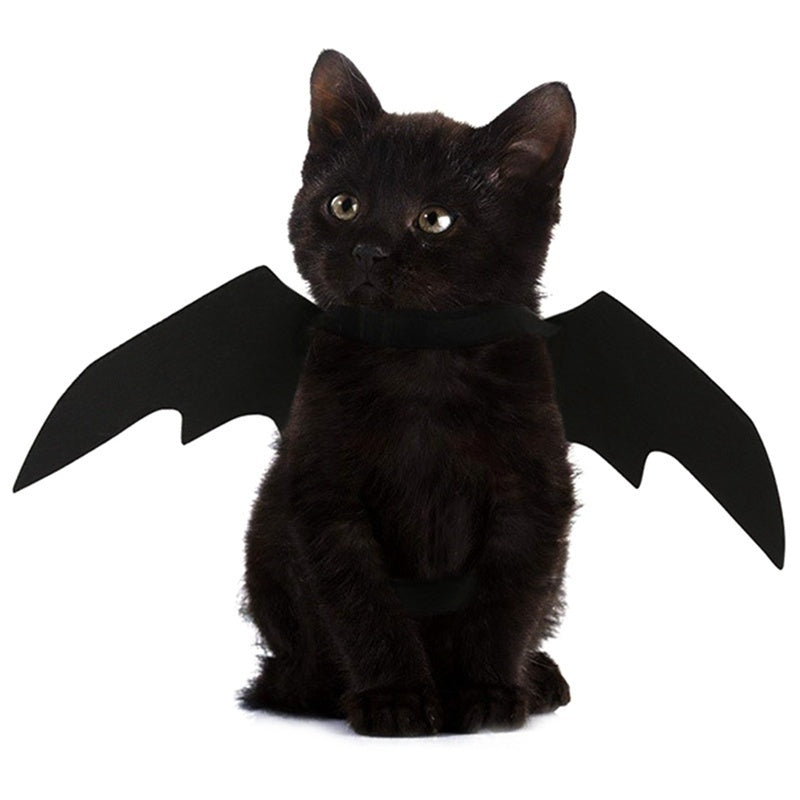 Halloween Pet Costume – Black Bat Wings Harness Outfit for Cats & Dogs