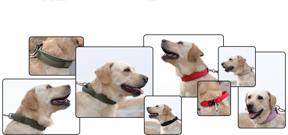 Tactical dog collar, adjustable military training nylon dog collar with control handle and high quality buckle