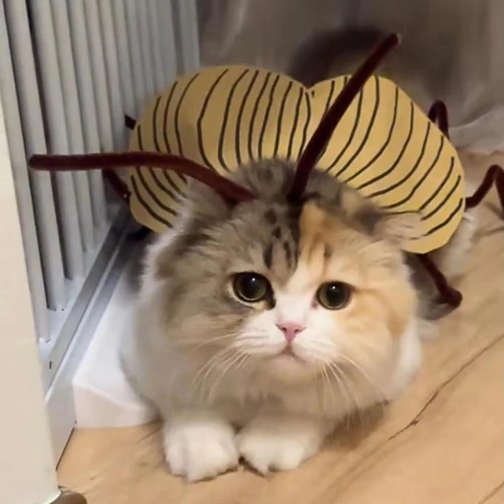 Pet Halloween Costume – Cat & Dog Cockroach Cosplay, Handmade DIY Funny Party Outfit