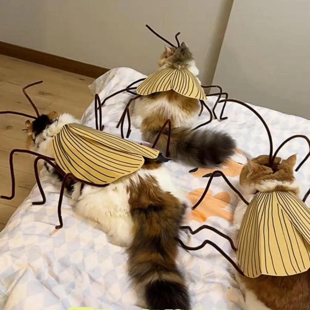Pet Halloween Costume – Cat & Dog Cockroach Cosplay, Handmade DIY Funny Party Outfit