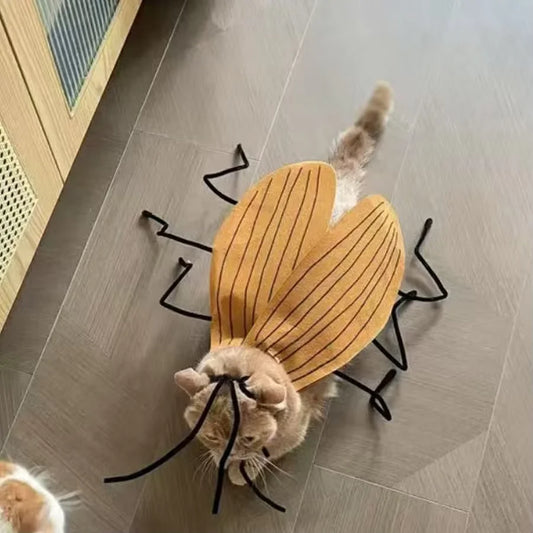 Pet Halloween Costume – Cat & Dog Cockroach Cosplay, Handmade DIY Funny Party Outfit