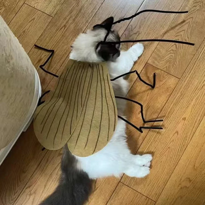 Pet Halloween Costume – Cat & Dog Cockroach Cosplay, Handmade DIY Funny Party Outfit