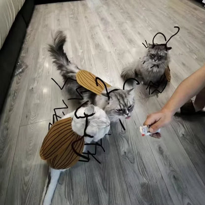Pet Halloween Costume – Cat & Dog Cockroach Cosplay, Handmade DIY Funny Party Outfit