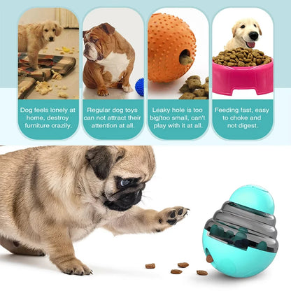 PawIQ™ Smart Slow Feeder Toy