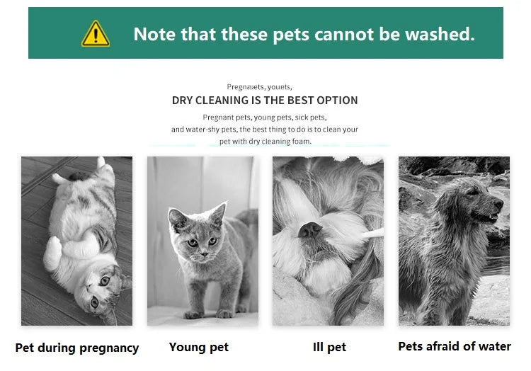 200ml Pet Dry Cleaning Foam – Water-Free Shampoo for Dogs & Cats