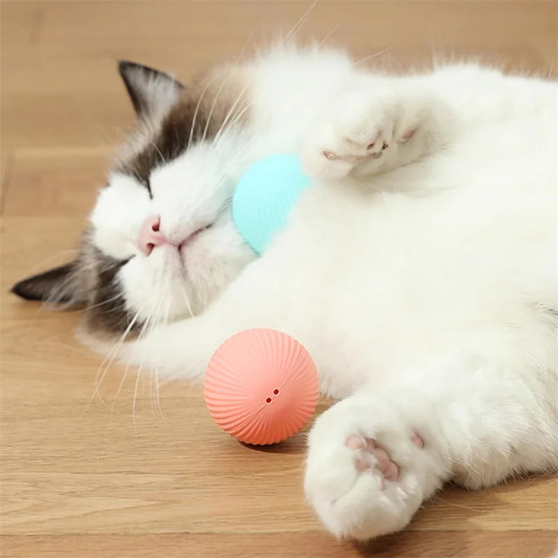 PawMotion Smart Interactive Pet Ball