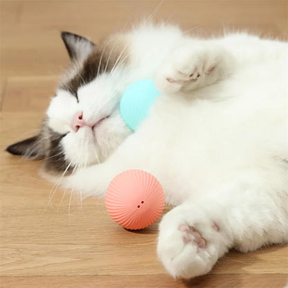 PawMotion Smart Interactive Pet Ball