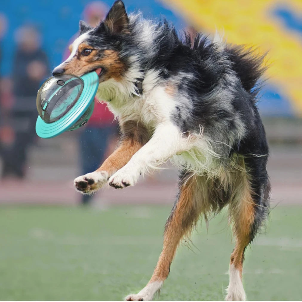 SmartFetch™ Interactive Flying Feeder Toy