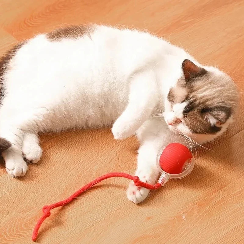 Cat Interactive Ball Toy – Automatic Rolling Rubber Ball for Fun & Exercise
