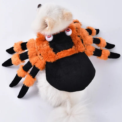 Halloween Dog & Cat Costume – Funny Small Dog Jacket & Creative Pet Outfit