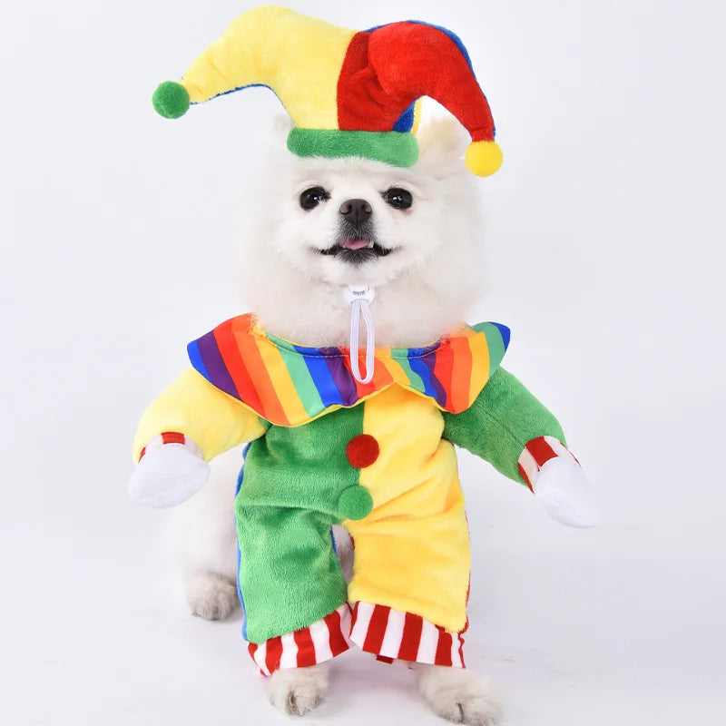 Halloween Dog & Cat Costume – Funny Small Dog Jacket & Creative Pet Outfit