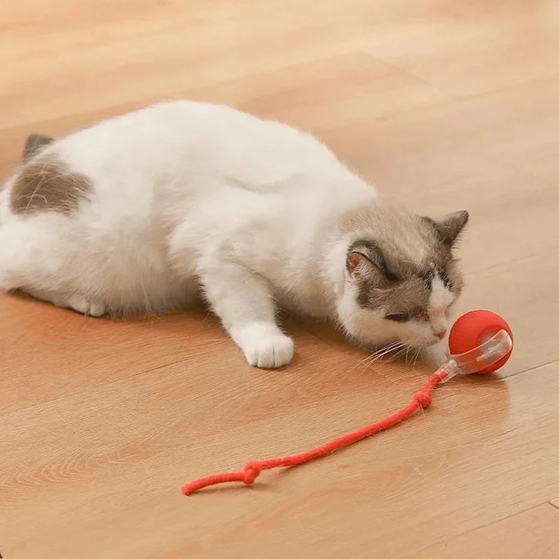 Cat Interactive Ball Toy – Automatic Rolling Rubber Ball for Fun & Exercise