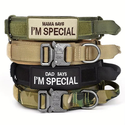 Tactical dog collar with handle for medium and large dogs, military-spec nylon collar, quick-release metal buckle