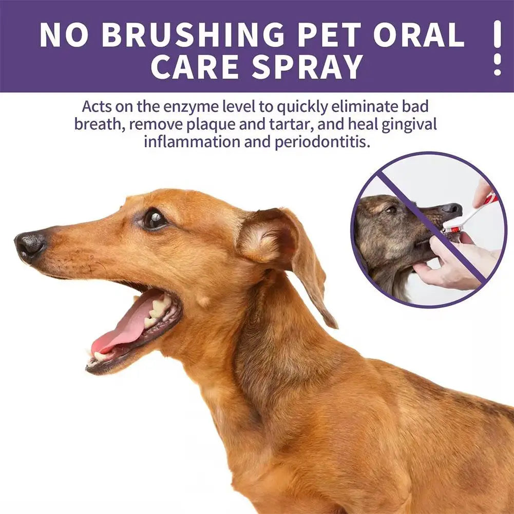 Pet Oral Care Spray – Freshens Breath, Cleans Teeth & Prevents Gingivitis for Dogs & Cats