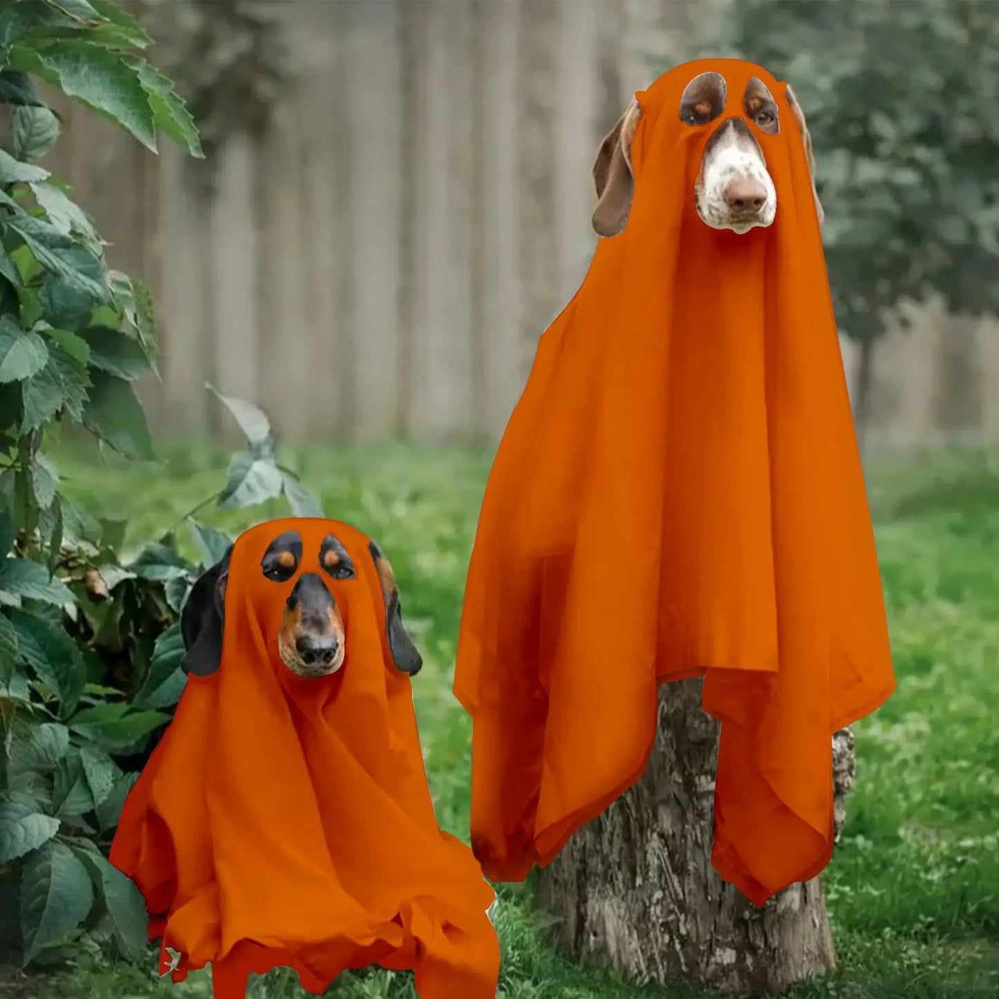 Halloween Pet Ghost Costume – Spooky Cute Dog & Cat Cape for Halloween Cosplay
