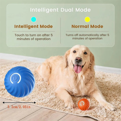 PawMotion Smart Interactive Pet Ball