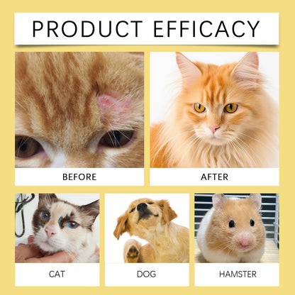 YEGBONG Pet Skin Treatment Spray – Anti-Itch & Soothing Care for Dogs & Cats