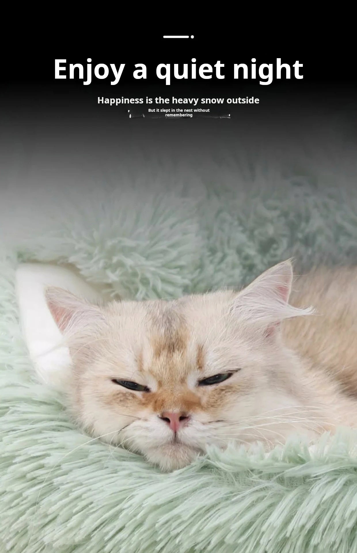 Autumn And Winter Soft Plush Pet Bed And Pet Bed Winter Warm And Cold Plush Comforter Nest Shell Cat Nest Semi-enclosed Cat Nest