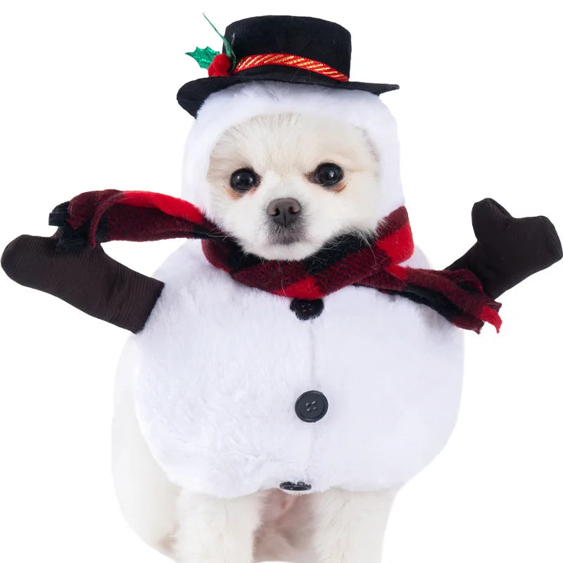 Halloween Dog & Cat Costume – Funny Small Dog Jacket & Creative Pet Outfit