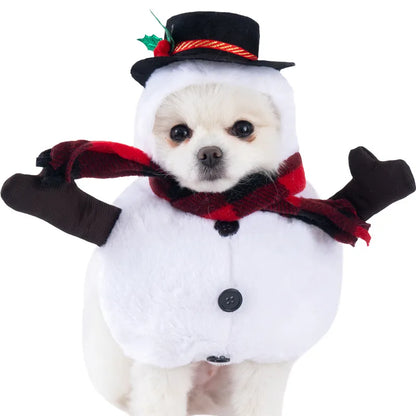 Halloween Dog & Cat Costume – Funny Small Dog Jacket & Creative Pet Outfit