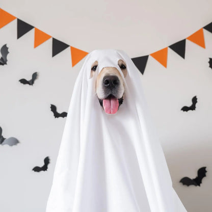 Halloween Pet Ghost Costume – Spooky Cute Dog & Cat Cape for Halloween Cosplay