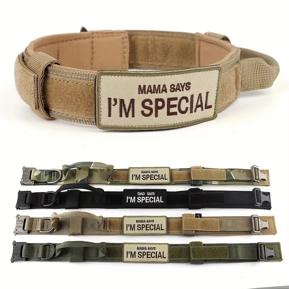 Tactical dog collar with handle for medium and large dogs, military-spec nylon collar, quick-release metal buckle