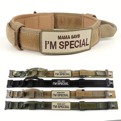 Tactical dog collar with handle for medium and large dogs, military-spec nylon collar, quick-release metal buckle