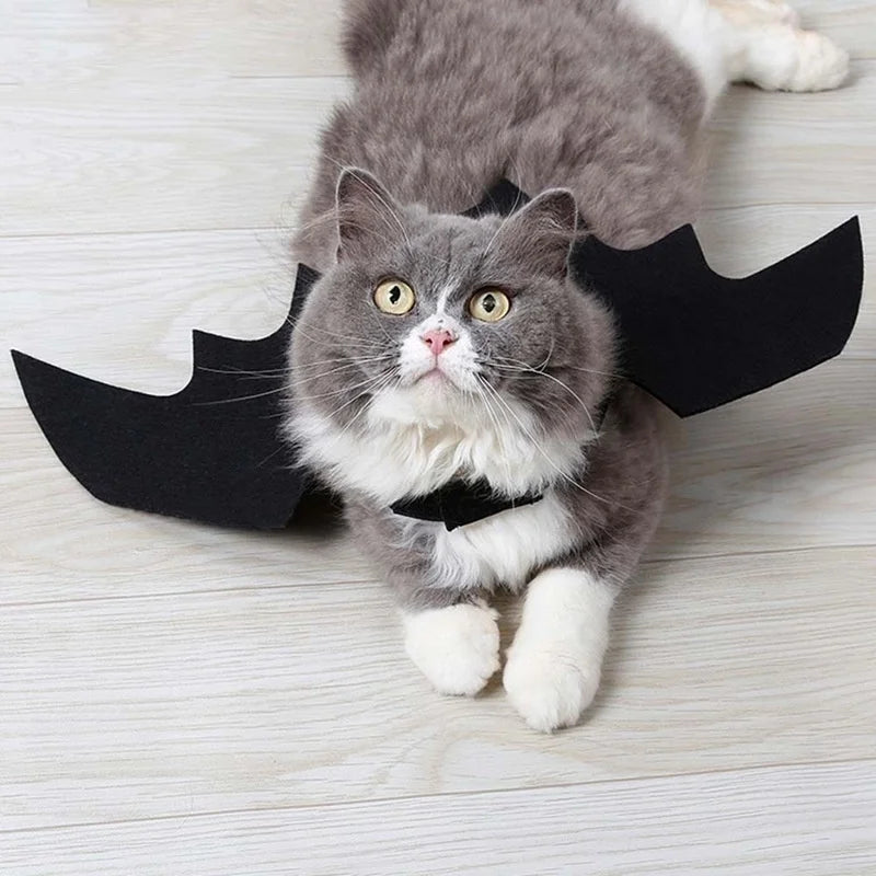 Halloween Pet Costume – Black Bat Wings Harness Outfit for Cats & Dogs