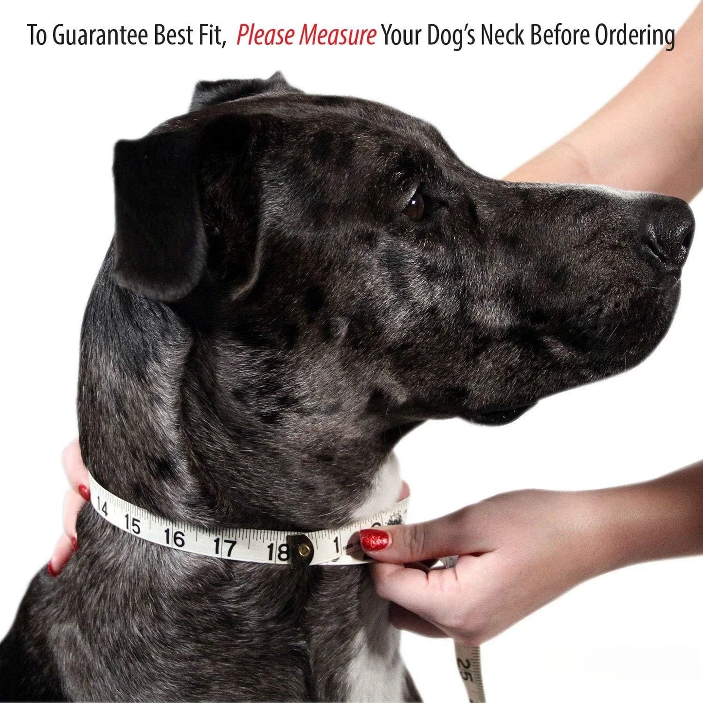 Personalized Name Carved Dog Collar ID Tag  Anti-lost Solid PU Leather Collar For Small Medium Large Dogs Puppy Cat Pet Supplies
