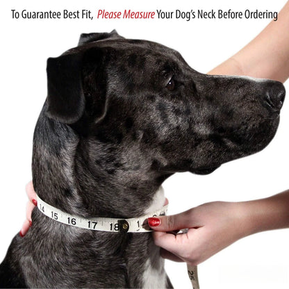 Personalized Name Carved Dog Collar ID Tag  Anti-lost Solid PU Leather Collar For Small Medium Large Dogs Puppy Cat Pet Supplies