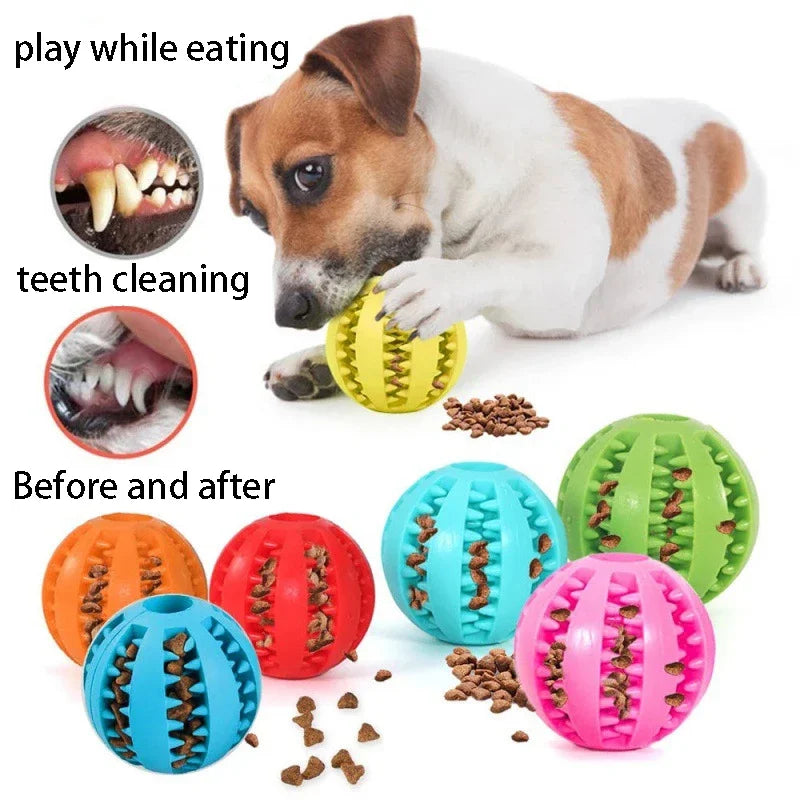 ChewBuddy™ Treat Dispensing Ball