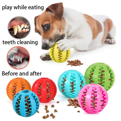 ChewBuddy™ Treat Dispensing Ball