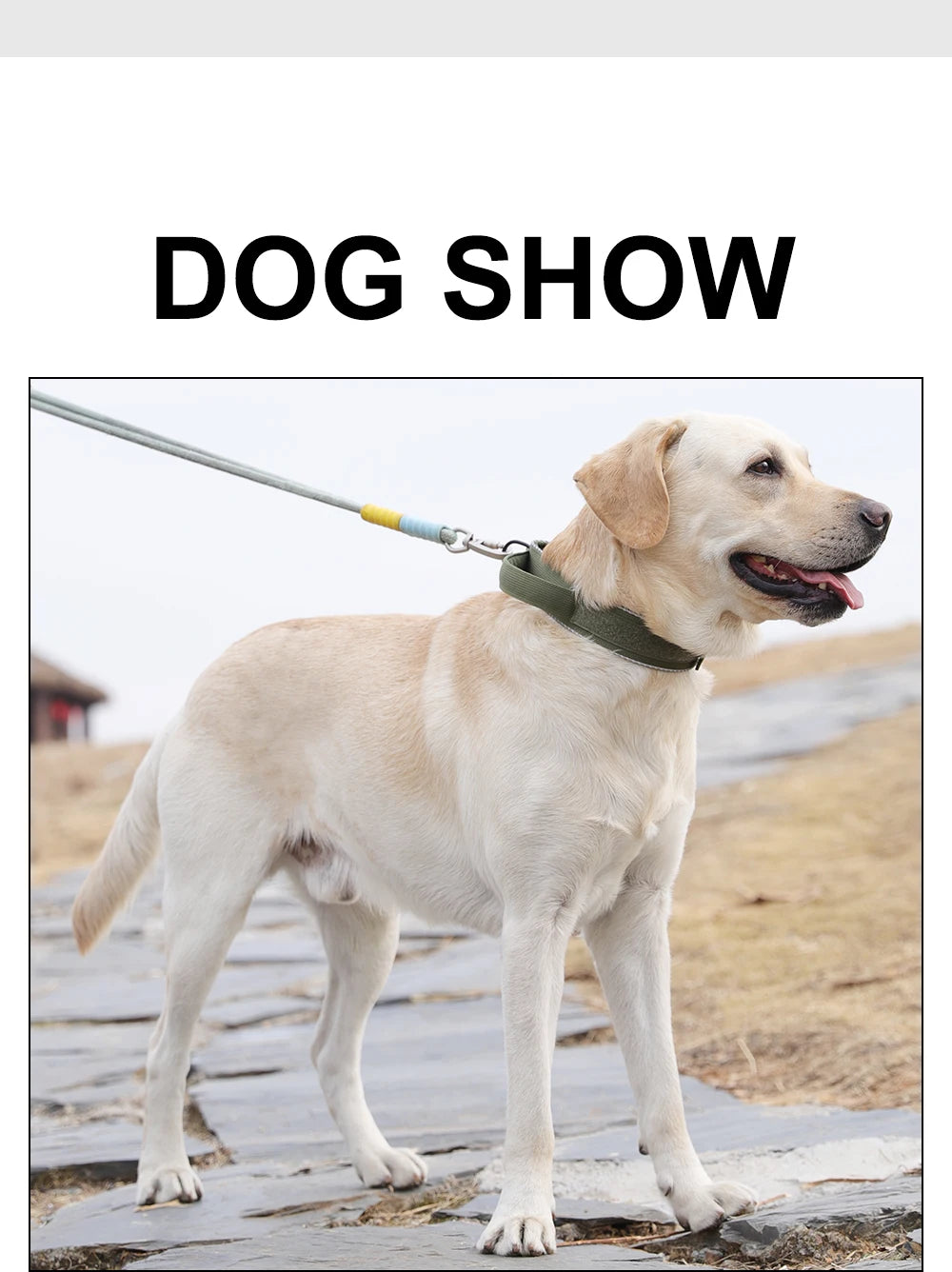 Tactical dog collar, adjustable military training nylon dog collar with control handle and high quality buckle