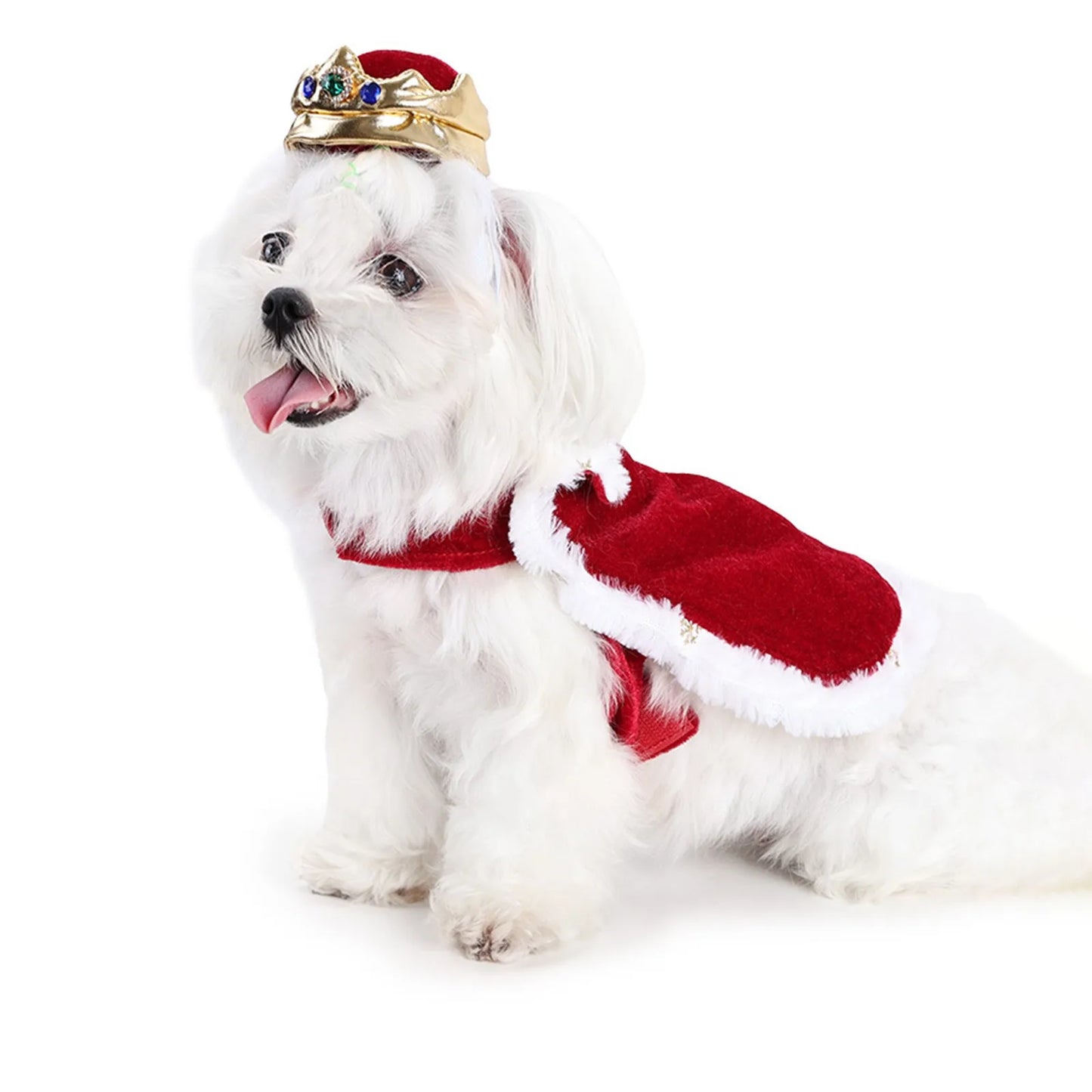 Royal Pet Couple Costume Set – Matching Outfits with Crowns & Capes for Cats & Dogs