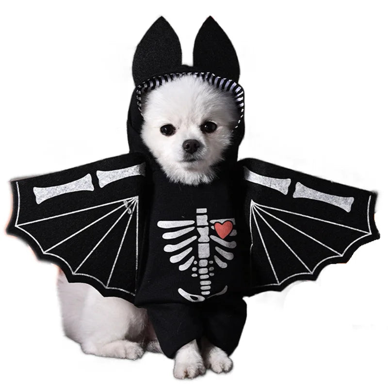 Halloween Dog & Cat Costume – Funny Small Dog Jacket & Creative Pet Outfit