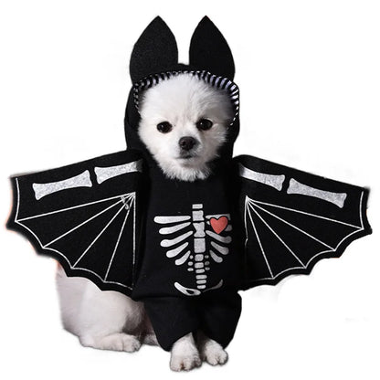 Halloween Dog & Cat Costume – Funny Small Dog Jacket & Creative Pet Outfit