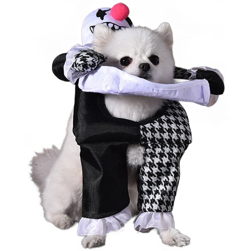 Halloween Dog & Cat Costume – Funny Small Dog Jacket & Creative Pet Outfit