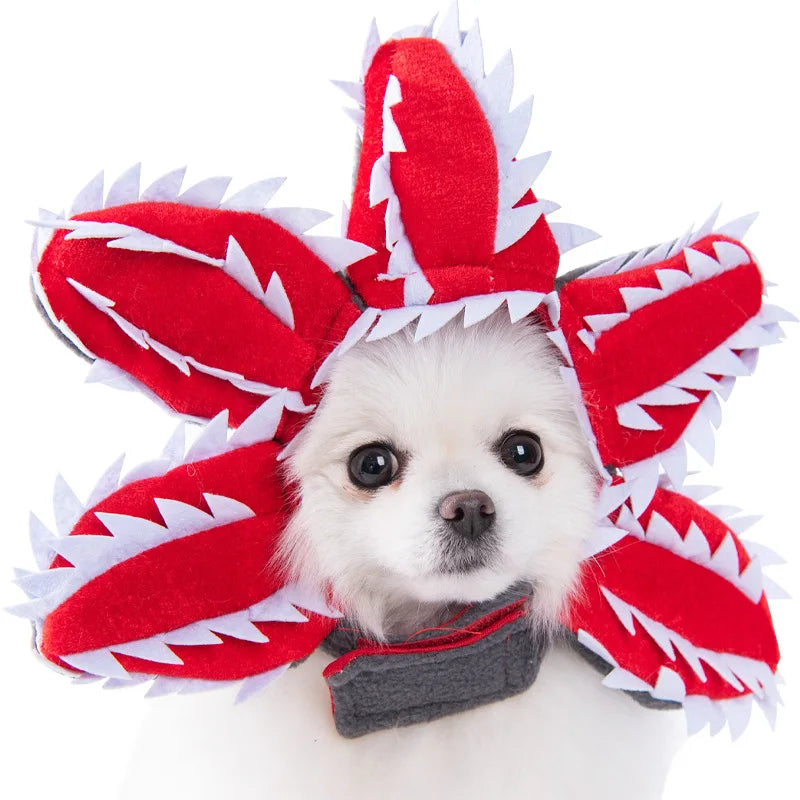Halloween Dog & Cat Costume – Funny Small Dog Jacket & Creative Pet Outfit