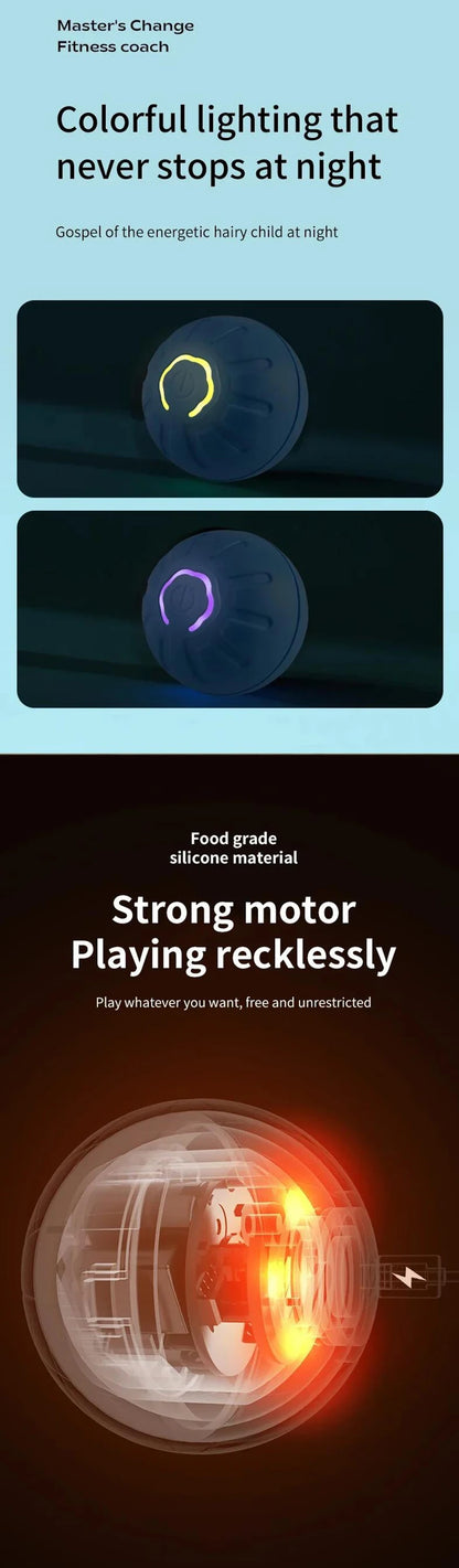 PawMotion Smart Interactive Pet Ball