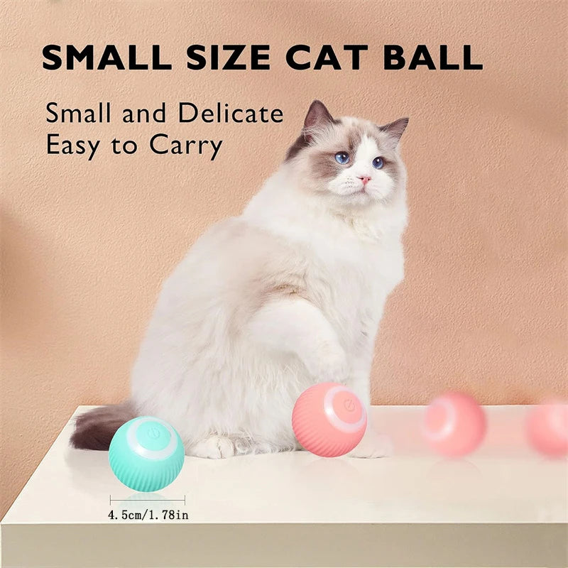 PawMotion Smart Interactive Pet Ball