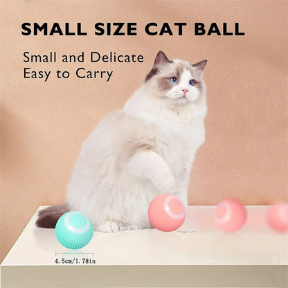 PawMotion Smart Interactive Pet Ball