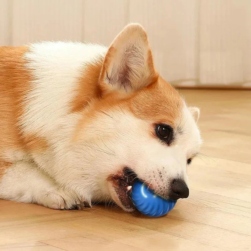 PawMotion Smart Interactive Pet Ball