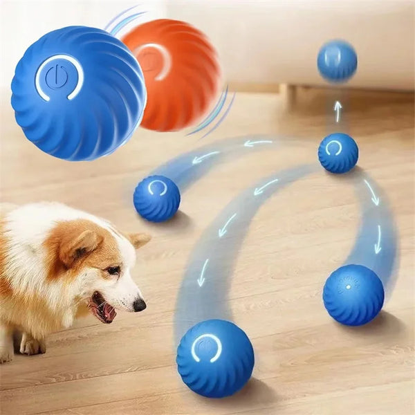 PawMotion Smart Interactive Pet Ball