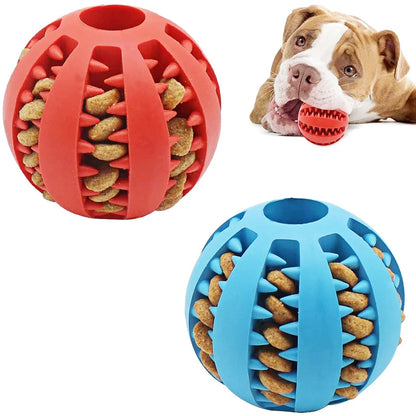 ChewBuddy™ Treat Dispensing Ball