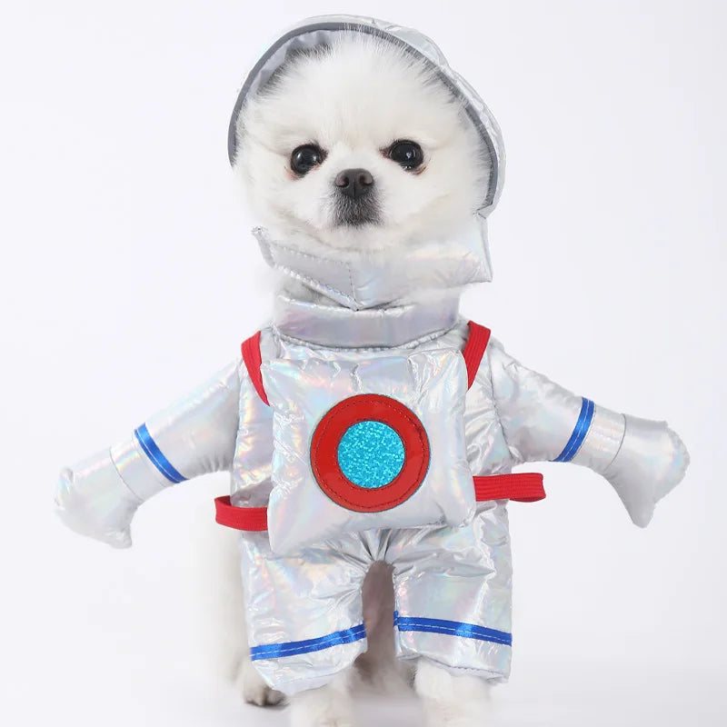 Halloween Dog & Cat Costume – Funny Small Dog Jacket & Creative Pet Outfit